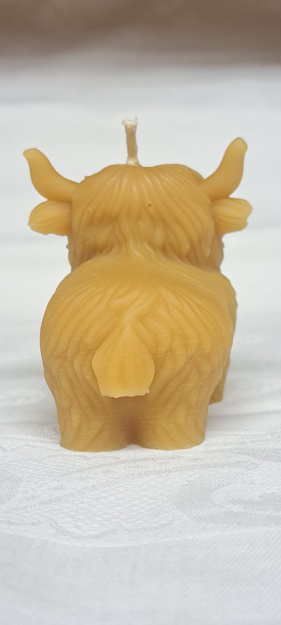 Back view of standing Highland Coo Candle