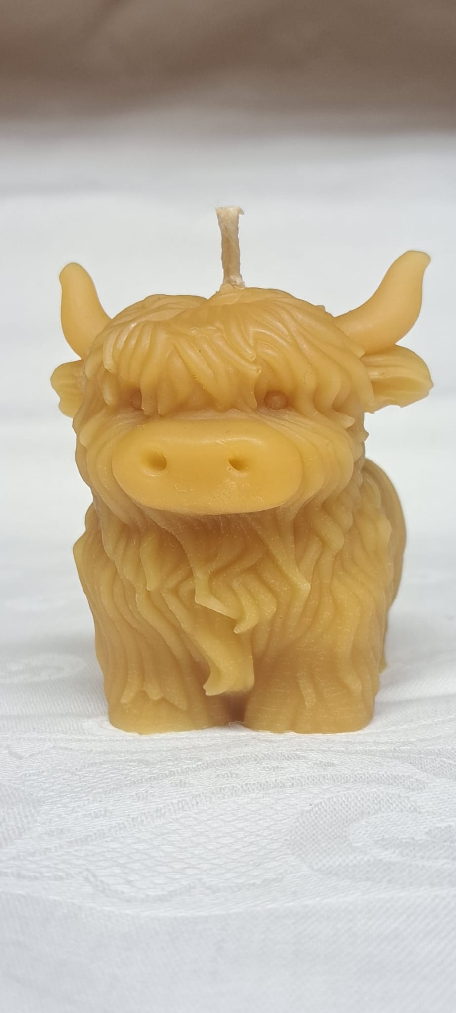 Front view of standing Highland Coo Candle