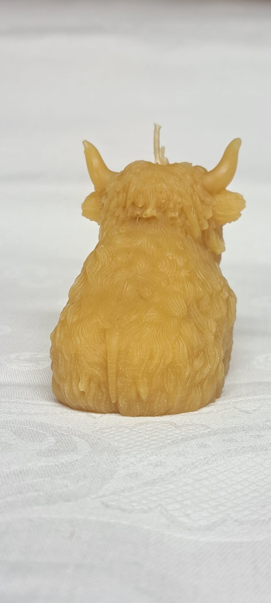 Back view of a sitting Highland Coo shaped candle
