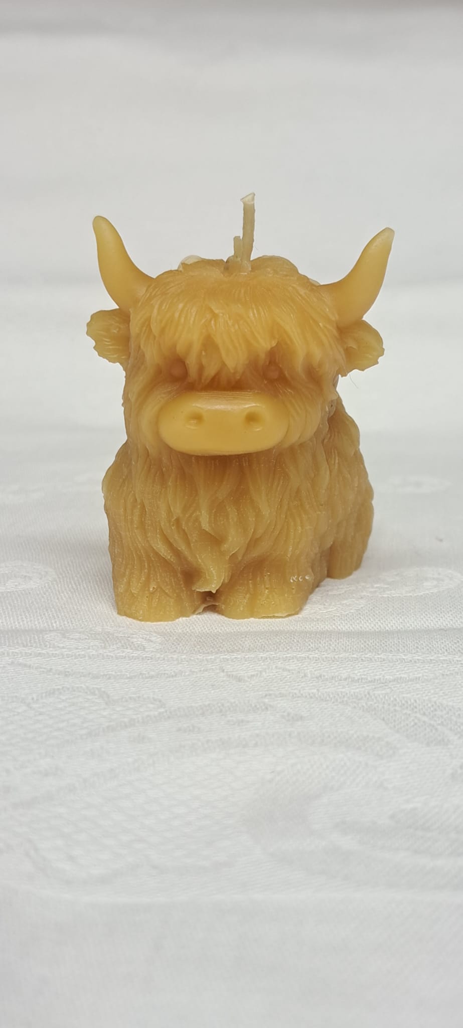 Front view of sitting Highland Coo Candle