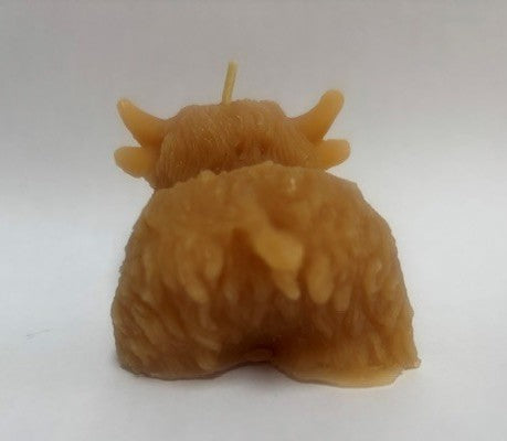 Highland Coos
