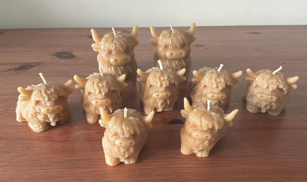 Set of Highland Coo shaped candles of different sizes on a wooden surface