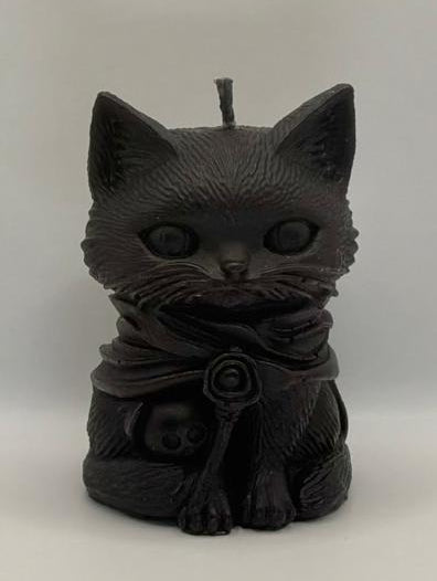 Cat - Black Cat