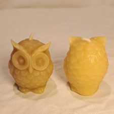 Owl - Small Owl